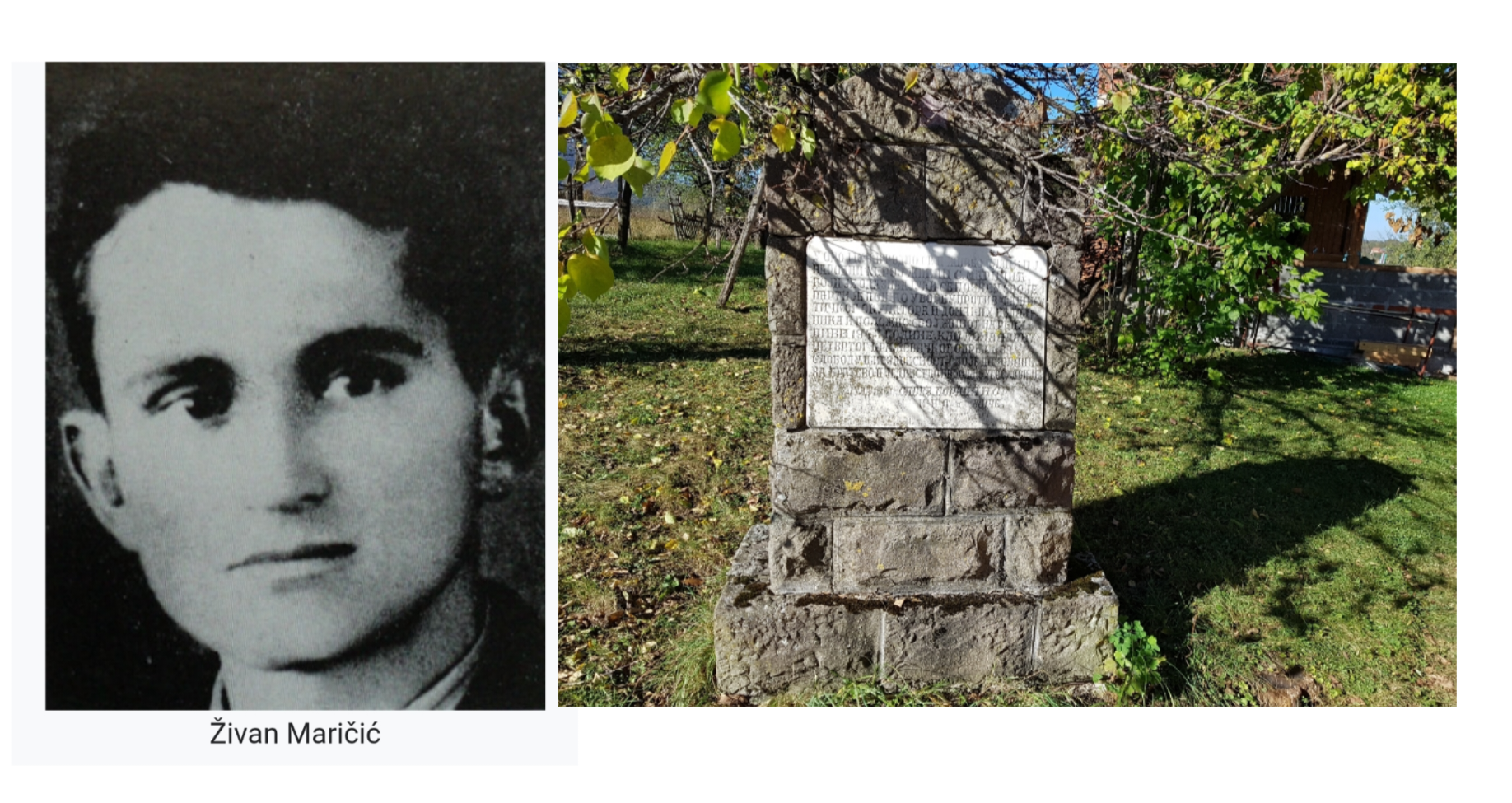Spomen-ploča Živanu Maričiću podignuta 1951. godine u Trešnjaru